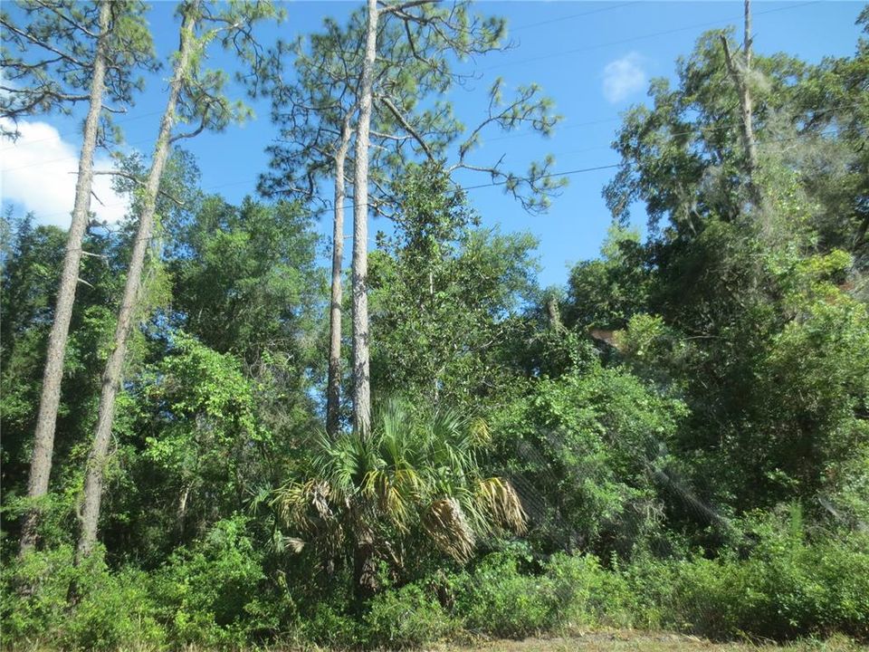 En Venta: $399,000 (31.80 acres)