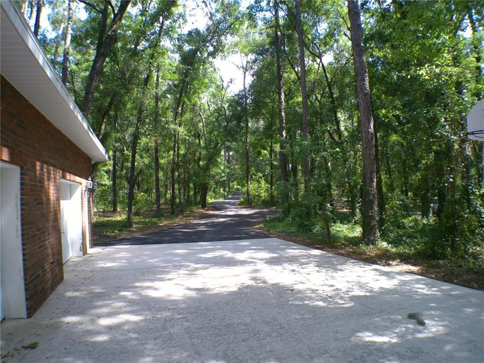 Driveway 1