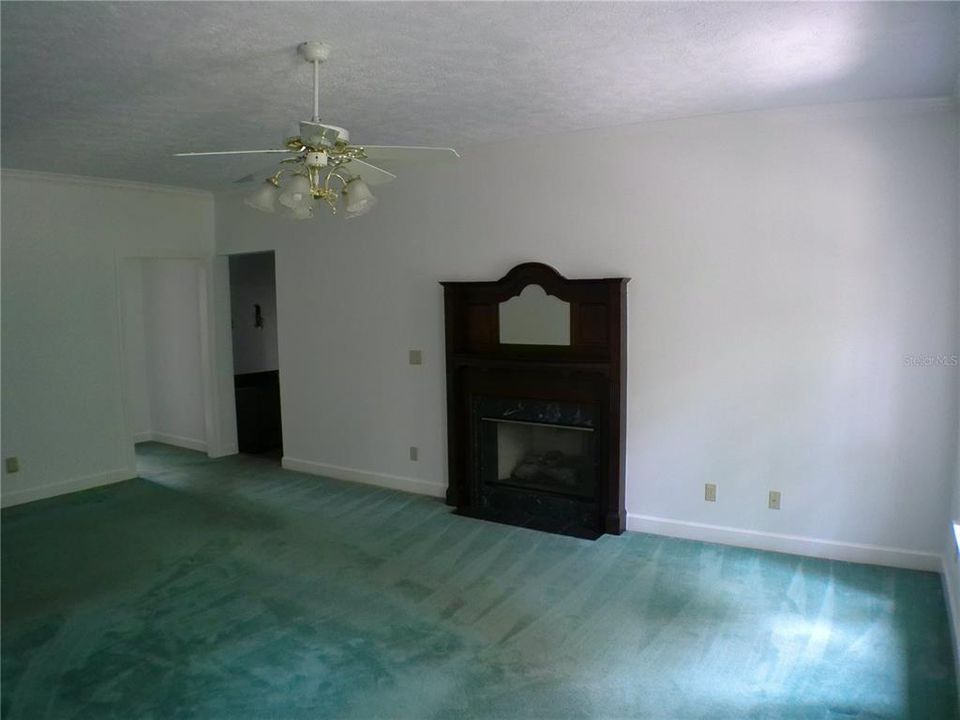 Master Bedroom - Fireplace