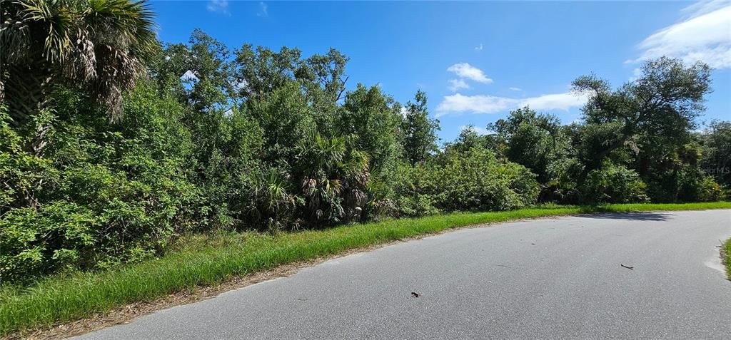 Walker Terrace Property line runs just past bend in road