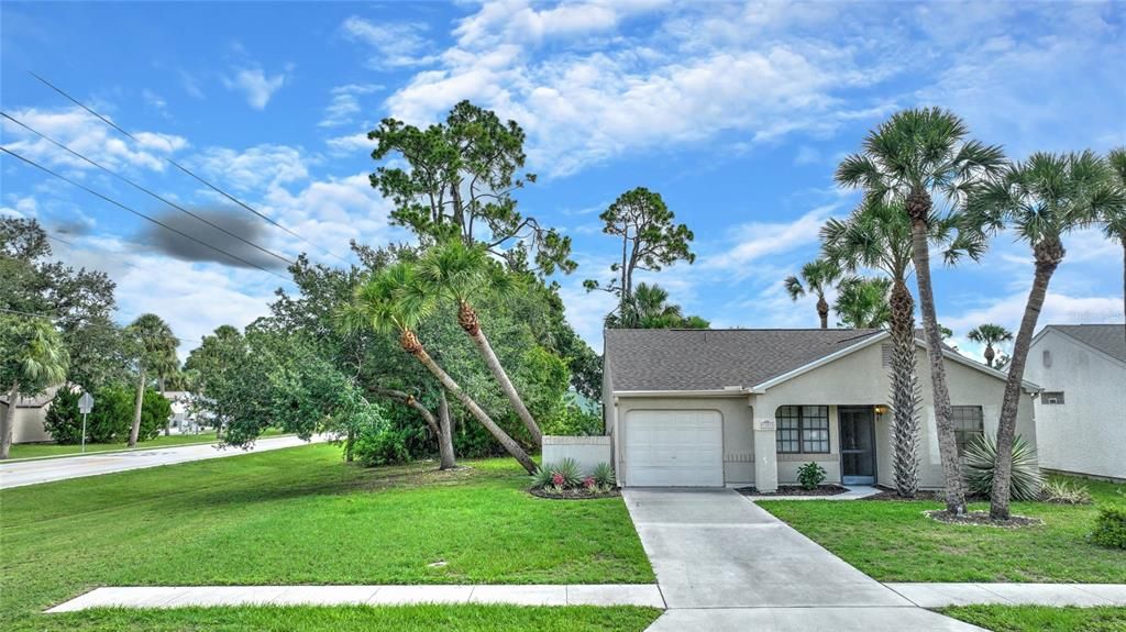 This home is at the corner of E Corktree Circle and Forrest Nelson.