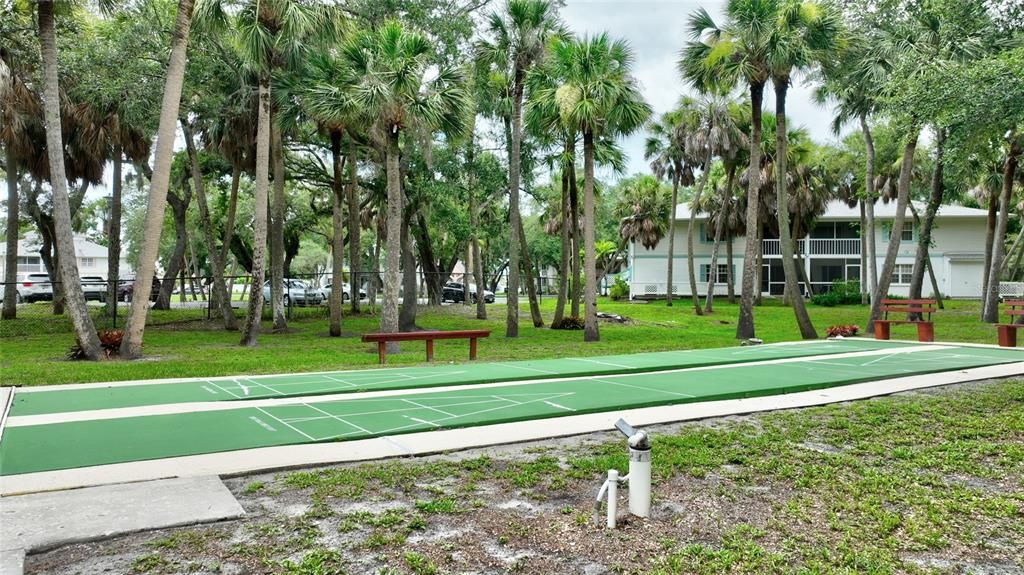 Shuffleboard