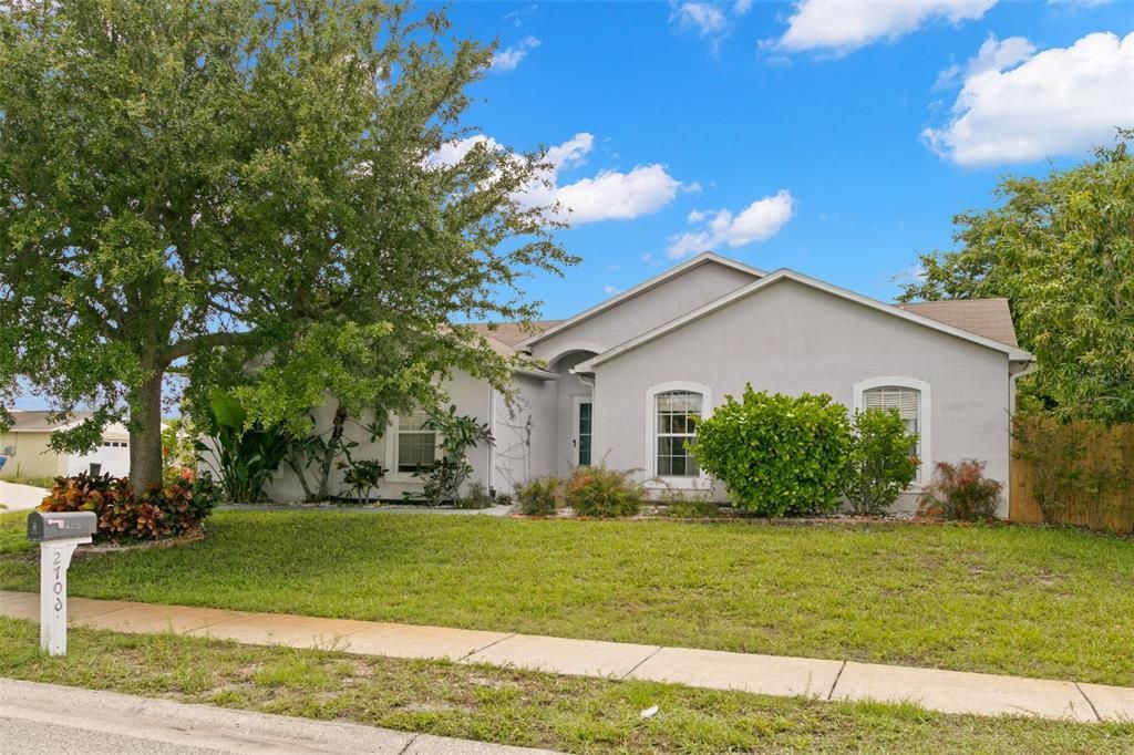 Front Elevation with large shade tree