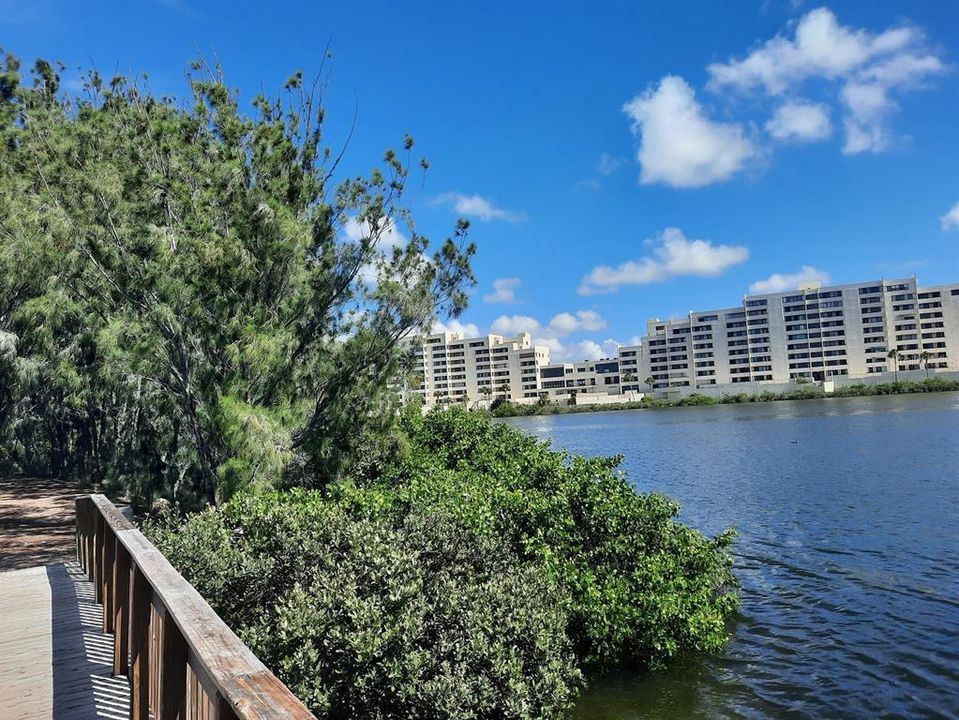 View of Complex from Foot Bridge