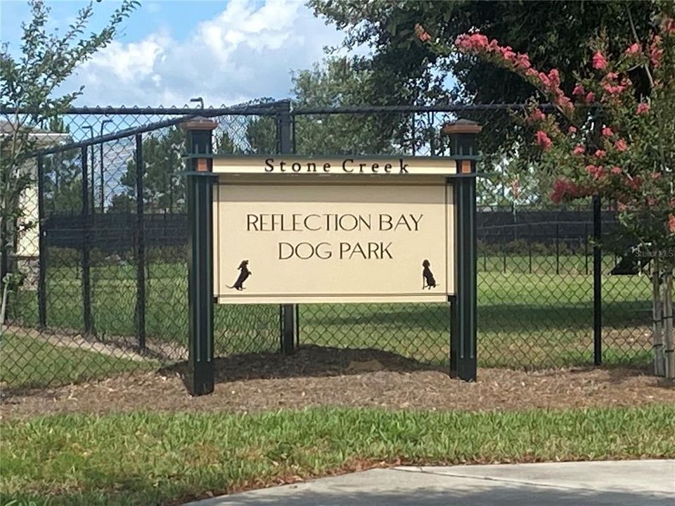 Dog Park