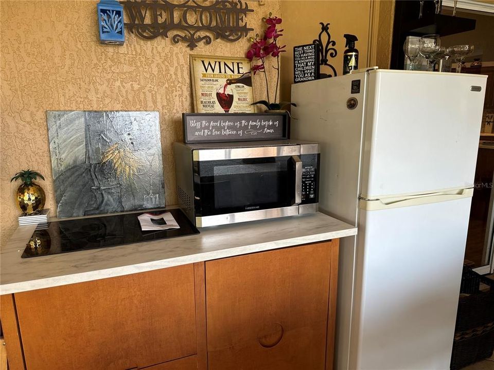 Cooktop and Refrigerator on Lanai