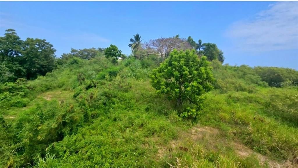 En Venta: $290,000 (0.87 acres)