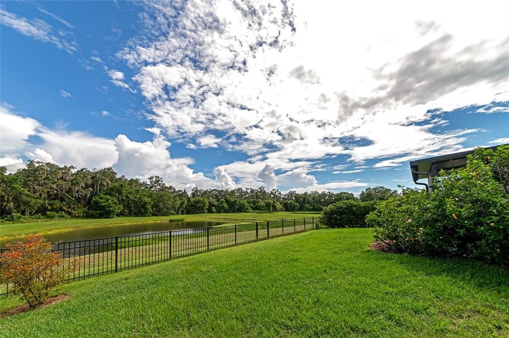 Backyard/Pond and Preserve View