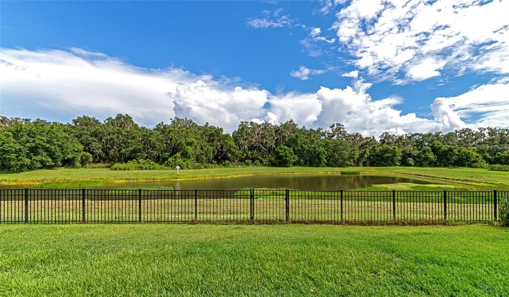 Backyard/Pond and Preserve View