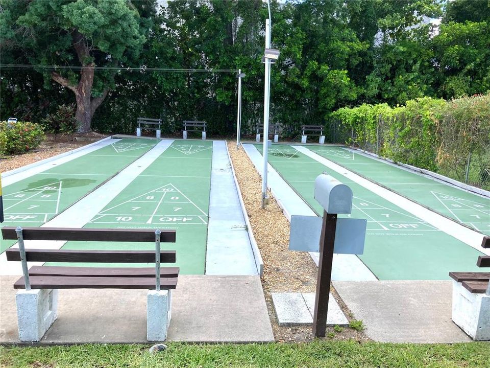 Shuffleboard