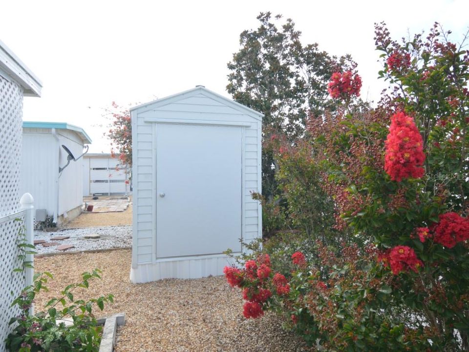 Shed in backyard