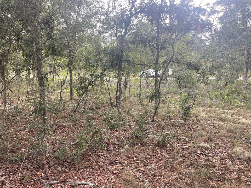 En Venta: $29,900 (0.99 acres)