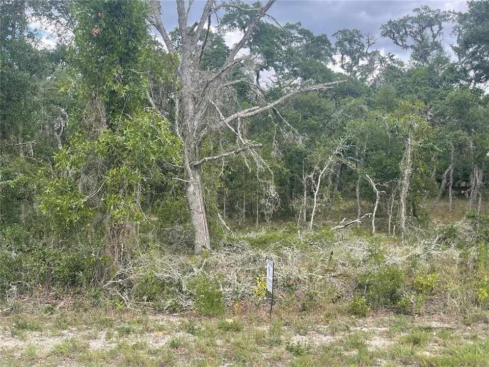 En Venta: $29,900 (0.99 acres)