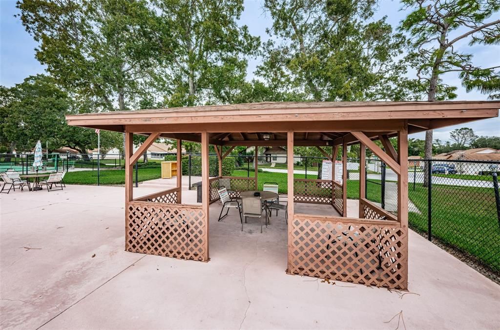 Community pool Shelter