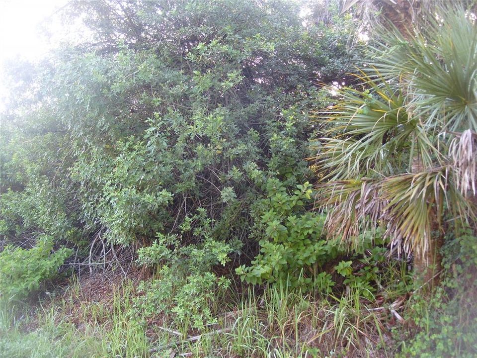 En Venta: $55,000 (0.23 acres)