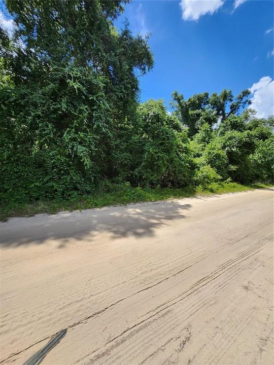 En Venta: $25,000 (1.09 acres)