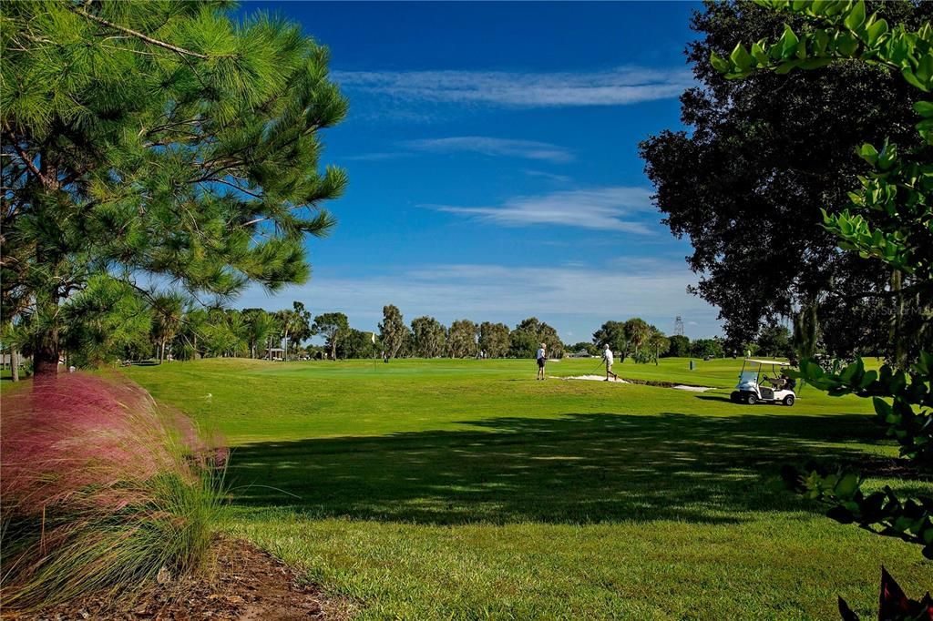 Sun City Center has optional golf memberships