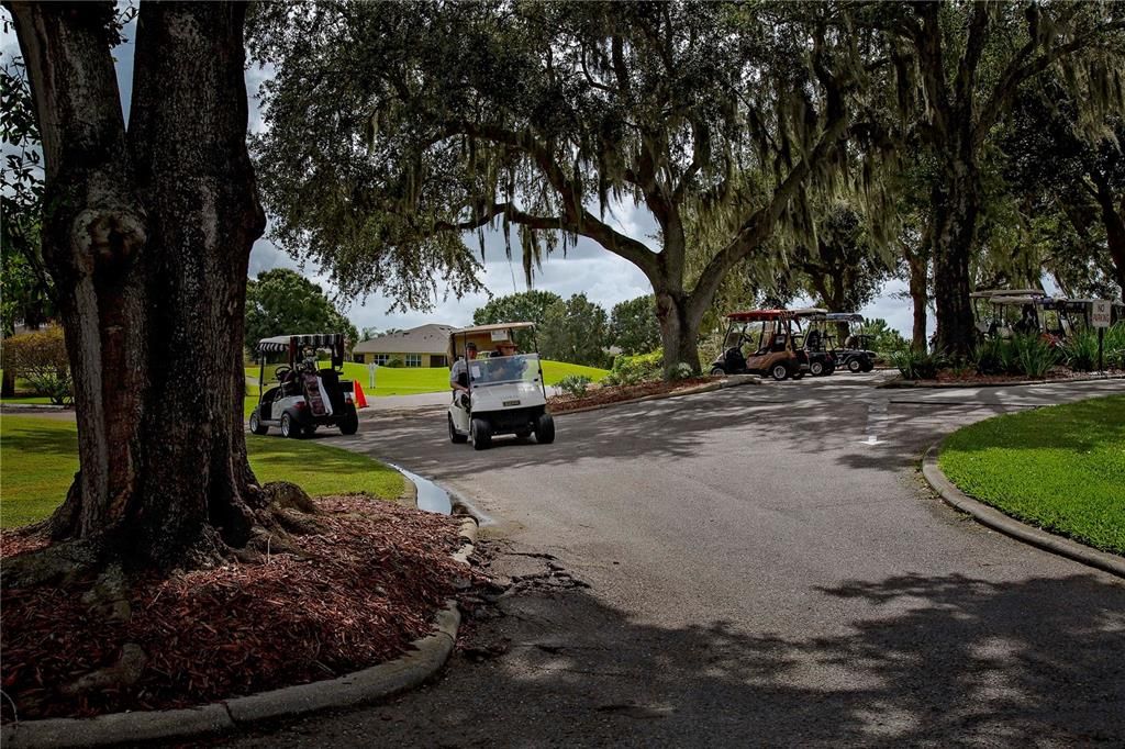 Golf carts are alllowed on most streets