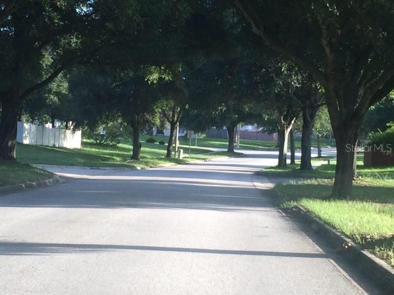 Community tree lined streets