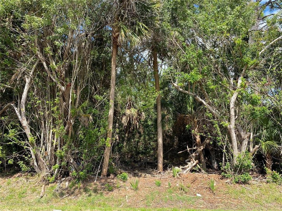 En Venta: $99,600 (0.23 acres)