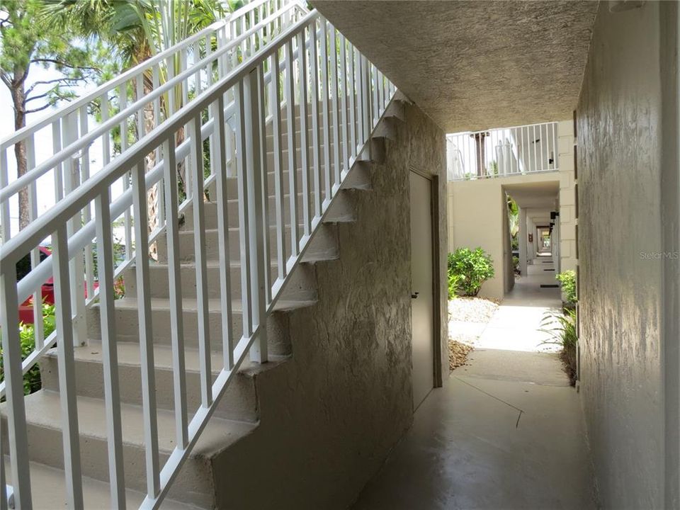 Rear View of Screened Balcony