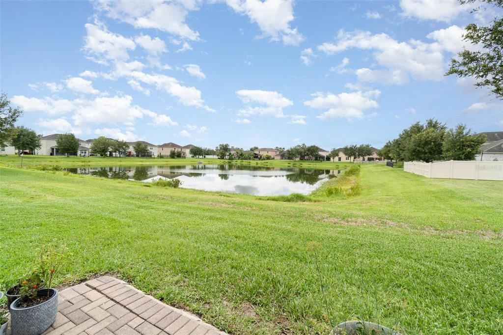 Pond view from yard