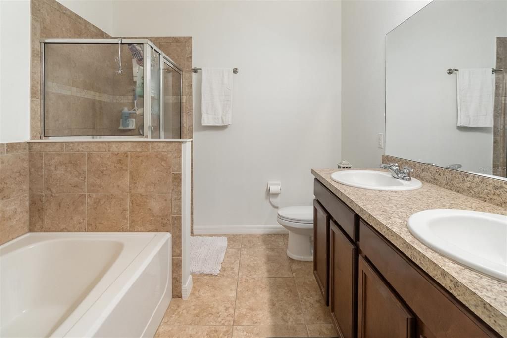 Master Bath Downstairs