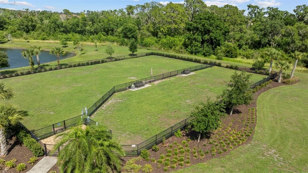 Large and Small Dog Park