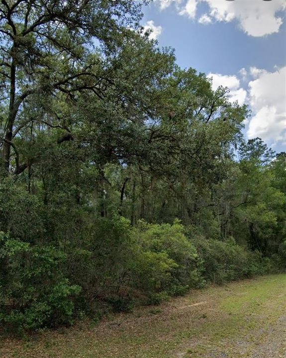 For Sale: $13,000 (0.28 acres)