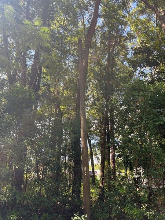 Power pole on property connected.