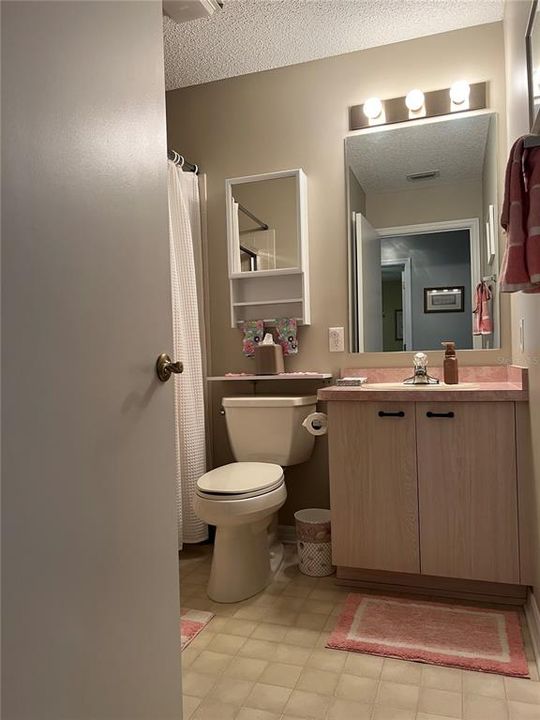 Guest bathroom