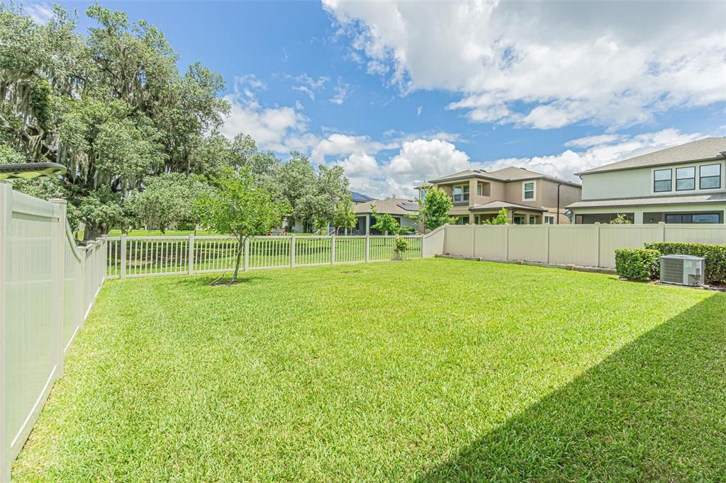 Lush green backyard with easement area and neighbor's backyards on 2 sides. Great privacy and tranquility!