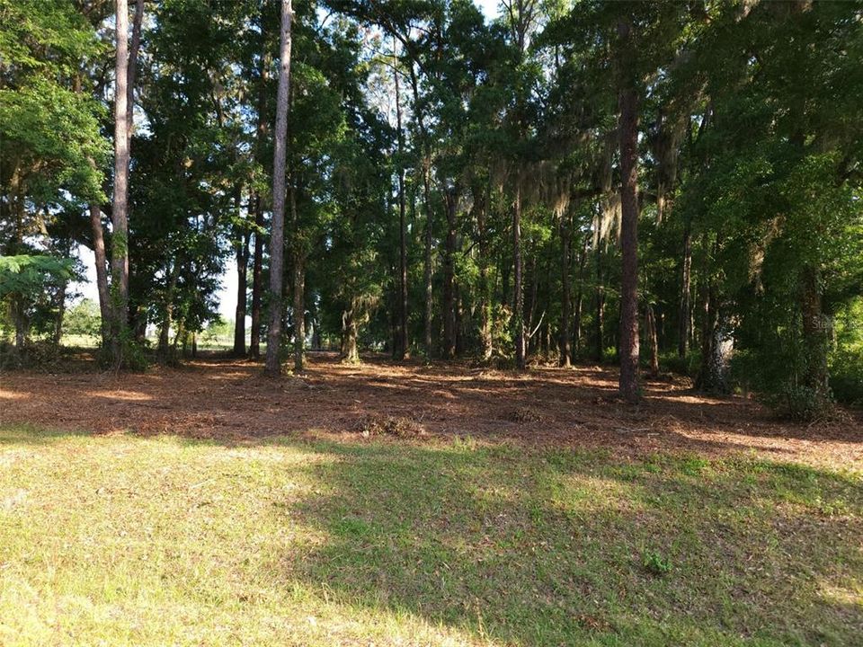 For Sale: $234,900 (2.99 acres)