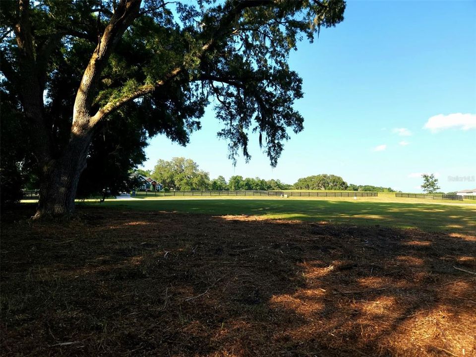 For Sale: $234,900 (2.99 acres)