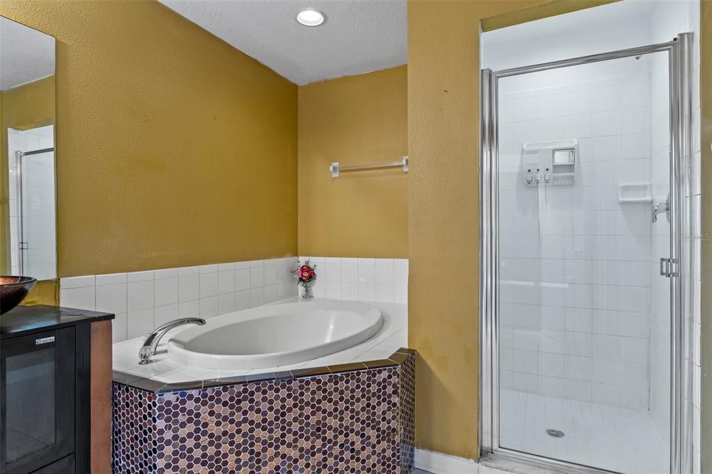 There is a step-in shower with a glass door in addition to the garden tub