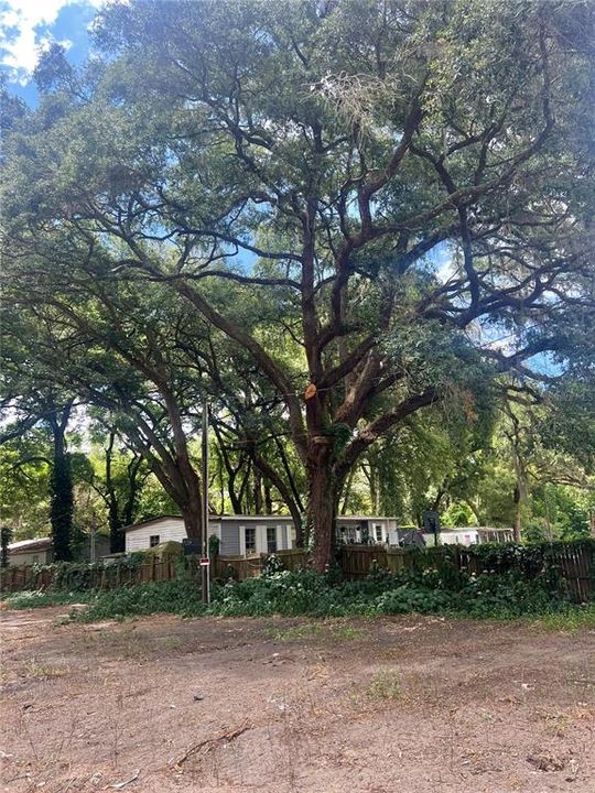 En Venta: $49,500 (0.25 acres)