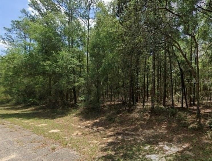 Active With Contract: $17,000 (0.25 acres)