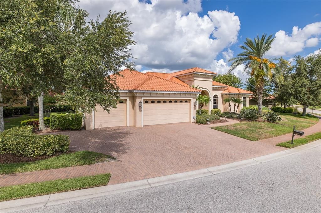 Expansive Driveway