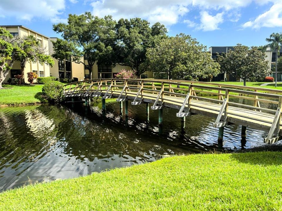 Wonderful Bridge to Clubhouse/Pool