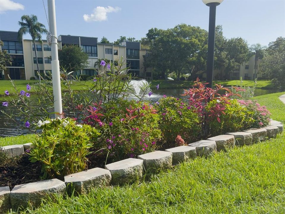 Beautiful Attention to Landscaping in Front of Shuffleboard Courts