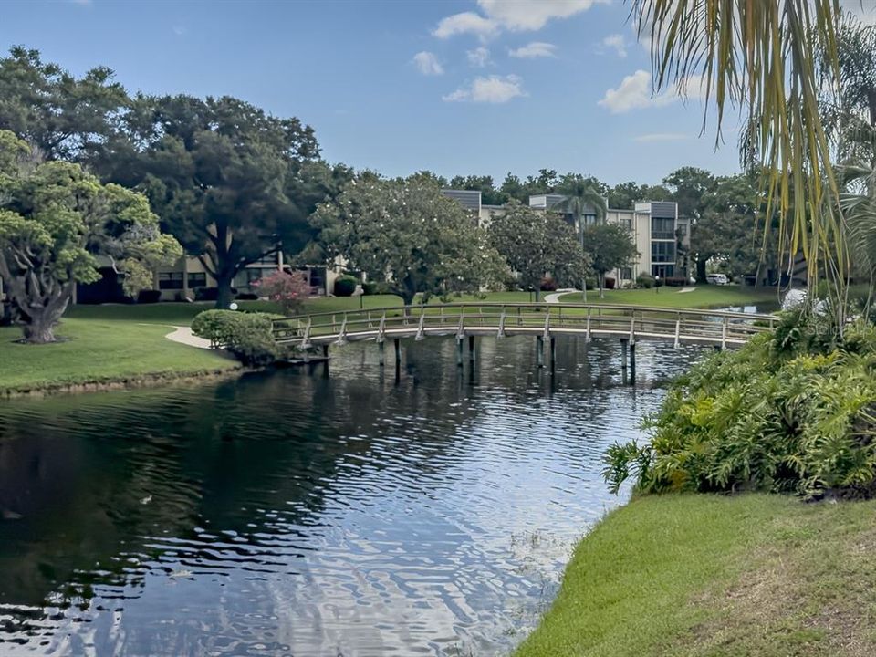 Waterfront View