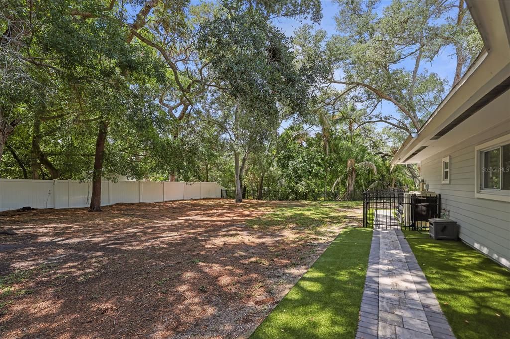 Fenced Side Yard