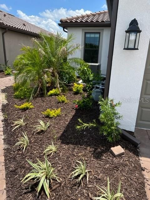 Front Entry Landscaping
