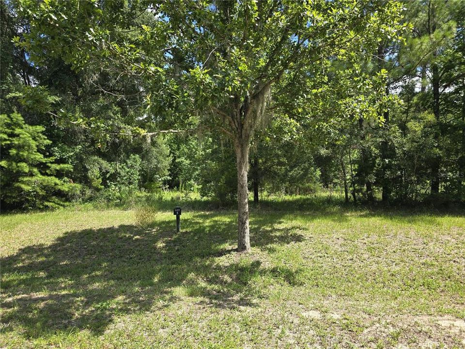 For Sale: $289,900 (1.04 acres)