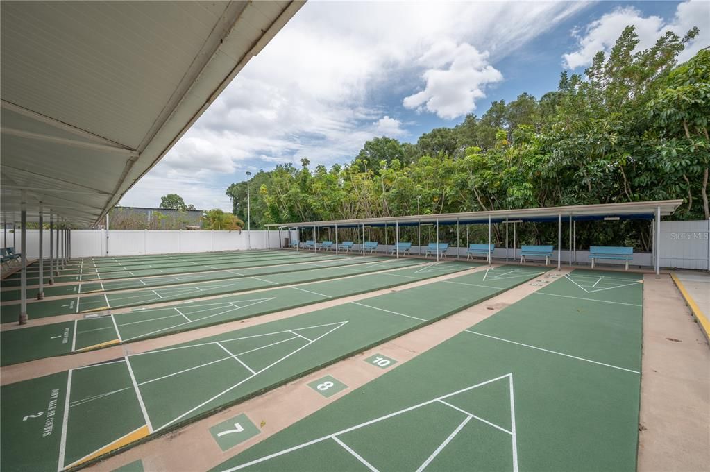 Covered Shuffleboard Courts