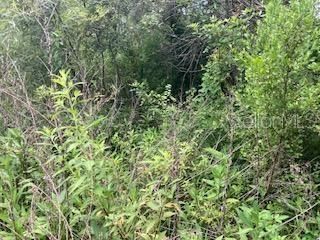 En Venta: $22,000 (1.29 acres)