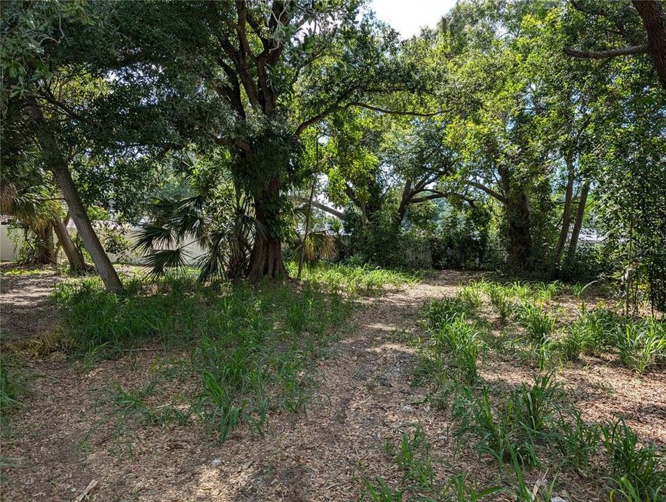 En Venta: $165,000 (0.35 acres)