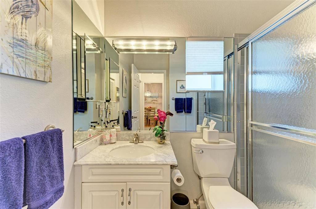 Guest bathroom