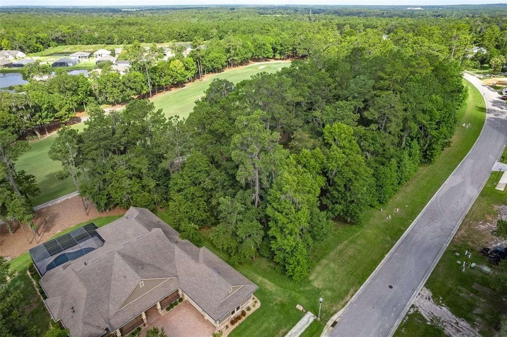 Beautiful Surrounding Homes