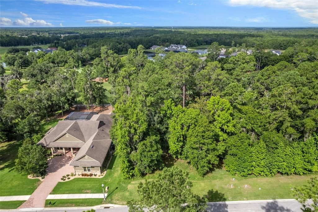 Beautiful Surrounding Homes